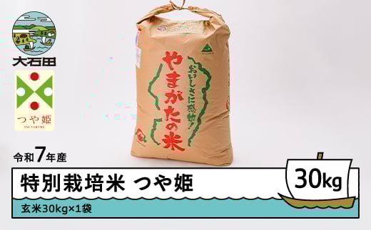 
                  米 令和7年産 米 つや姫 30kg 大石田町産 特別栽培米 玄米 ※沖縄・離島への配送不可 ja-tsgxa30
                