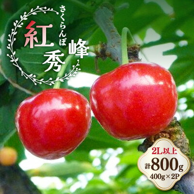 【ふるさと納税】さくらんぼ 紅秀峰 2Lサイズ以上 400g×2パック【配送不可地域：離島・沖縄県】【1733515】