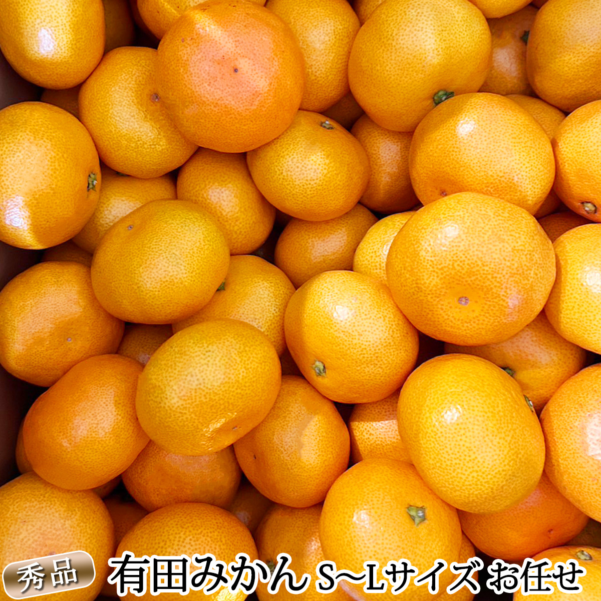 DZ6200_秀品 有田みかん 和歌山県産 S～Lサイズ 大きさお任せ 約10kg