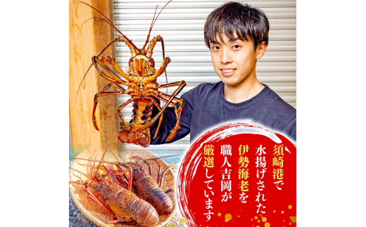 【訳あり】 職人吉岡 の 冷凍 伊勢海老 約 1.4kg 2 ? 7尾 ( サイズ混合 えび エビ いせえび 高級 鮮魚 イセエビ 海鮮 魚介 刺身 焼き物 汁物 ギフト 贈答 贈り物 祝い 歳暮 中