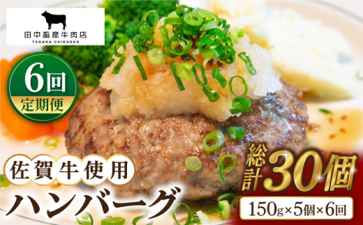 【全6回定期便】佐賀牛 ハンバーグ 5個セット【田中畜産牛肉店】 [HBH048]