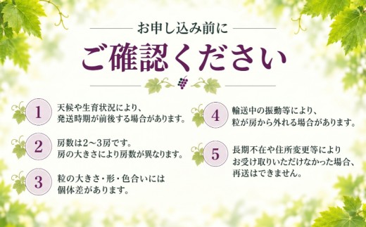 【2027年先行予約】山梨県都留市産 クイーンニーナ　 約1.2kg（2～3房）| ぶどう 種なし ぶどう くいーんにーな