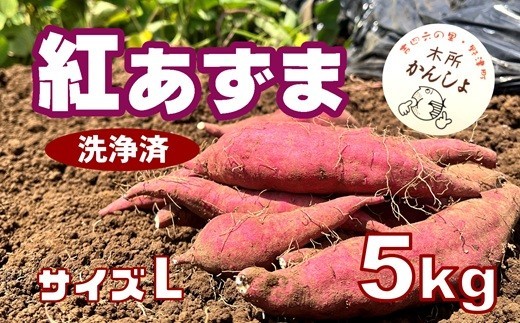 木所かんしょ（紅あずま）５㎏【栽培期間中化成肥料不使用】洗浄済 さつまいも Lサイズ