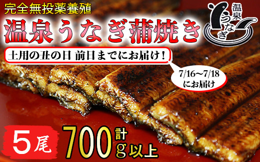 
            【 土用の丑 前日までにお届け 】 完全無投薬養殖 国産 温泉うなぎ蒲焼 5尾 （140gサイズ）＜104-062_5＞
          