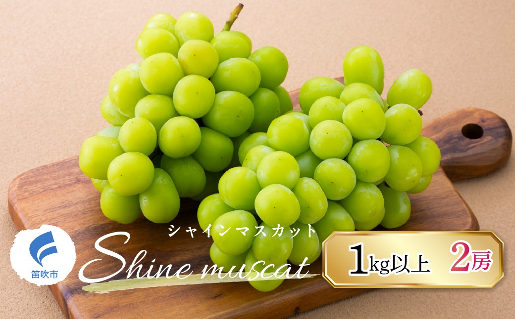 
                  山梨県産　シャインマスカット　1.1kg以上 2房 247-001
                