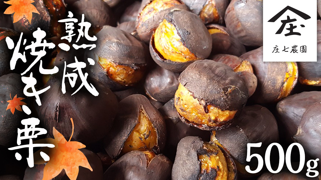
            庄七農園 限定 熟成 焼き栗 500g 【 2024年10月から順次お届け 】 栗 くり 焼栗 おやつ スイーツ 茨城 和栗 美味しい 果物 フルーツ
          