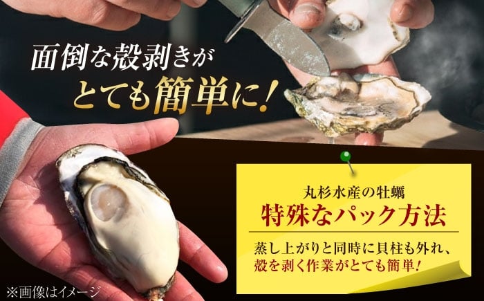 牡蠣 むき身 殻付き かき カキ 生牡蠣 広島牡蠣 オイスター