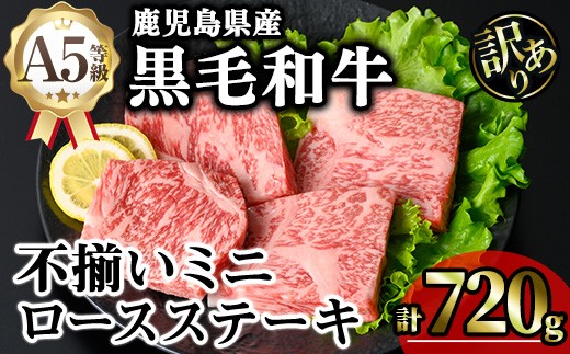 
                  【訳あり】鹿児島県産A5等級黒毛和牛不揃いロースミニステーキ (計720g) 黒毛和牛 ロースステーキ 冷凍【KNOT】 A642-v01
                