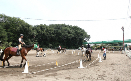 乗馬スクール 1回コース | 乗馬体験 乗馬体験 乗馬体験 乗馬体験 乗馬体験