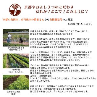 【定期便】合計4回お届け 九条ねぎ & 野菜詰め合わせ 有機野菜・京野菜の『京都やおよし』亀岡・京丹後産 オーガニック 有機JAS 栽培期間農薬不使用 ※着日指定不可 ※北海道・沖縄・離島への配送不可