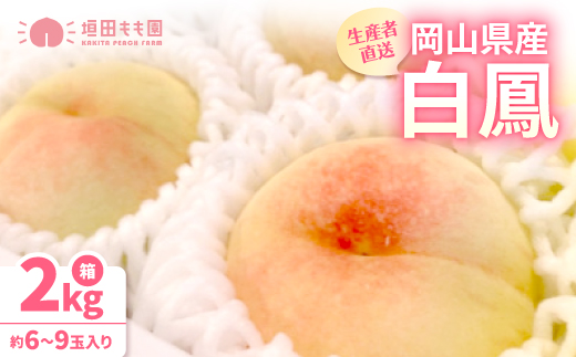 
                  ＜先行予約★2026年7月中旬より順次発送予定＞岡山県産　白鳳(2kg箱)_桃 もも 白鳳 白桃 岡山県 産地直送 人気 美味しい フルーツ 果物 先行予約 ギフト 贈答【1667406】
                