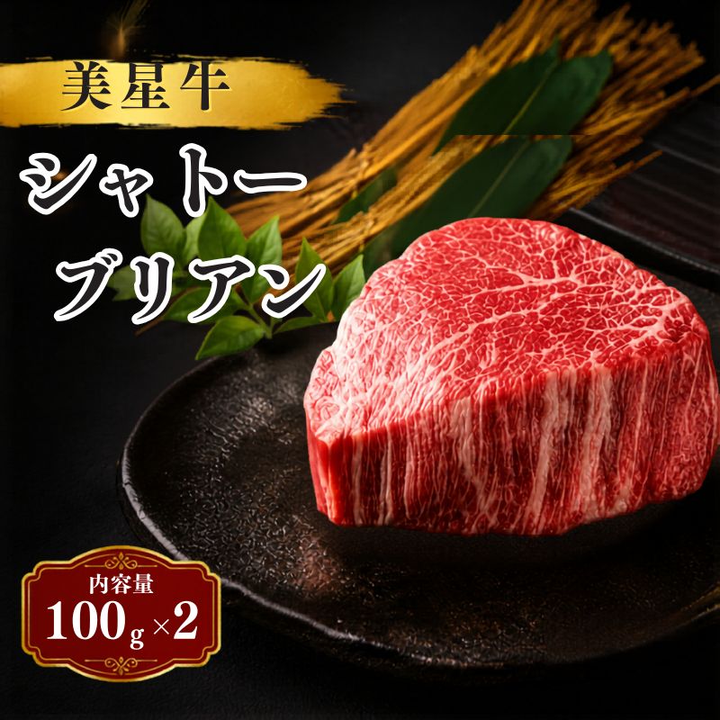 【ふるさと納税】 美星牛の シャトーブリアン 100g×2枚(200g) 和牛 国産 牛肉 焼肉 小分け 送料無料 冷凍 人気 父の日 ギフト 贈答 ふるさと 肉 バーベキュー 牛 お中元 お歳暮 BBQ 贅沢 プレゼント ステーキ ご褒美 ヒレ 岡山県産 黒毛和牛 牛肉 お肉 岡山県 岡山
