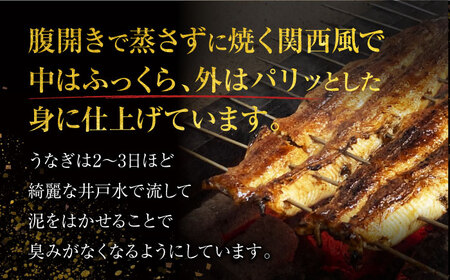 【6回定期便】うなぎ 蒲焼き 2尾 × 6回 計12尾 多治見市/澤千 蒲焼き かば焼き [TDD006]