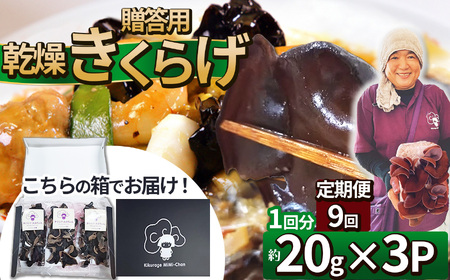【定期9回】贈答用乾燥きくらげ 20g×3P ともちゃん農園 |定期便 贈答用 乾燥 きくらげ 食物繊維 鉄分 カルシウム ビタミンD カリウム アミノ酸  高血圧予防 ふるさと 納税栃木県 那珂川町