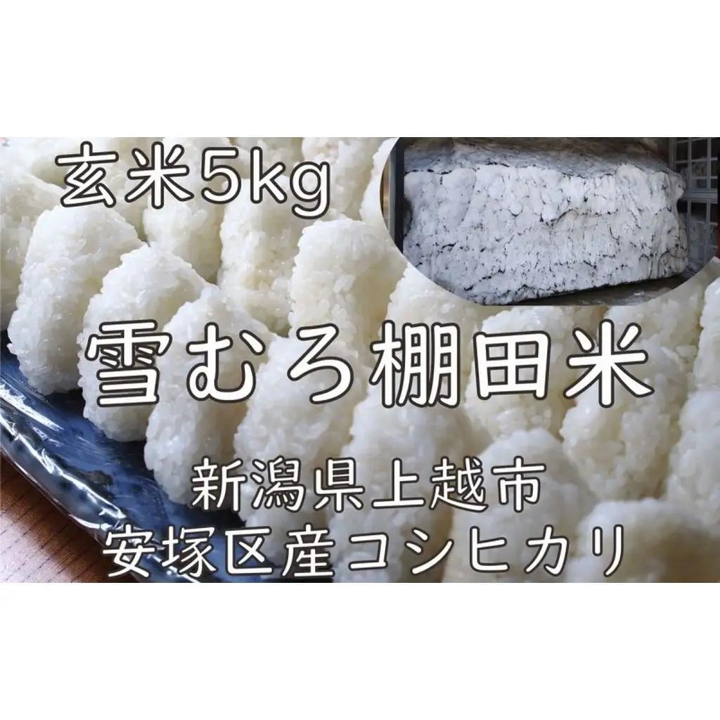 棚田米 コシヒカリ 雪中貯蔵 玄米 コシヒカリ 5kg