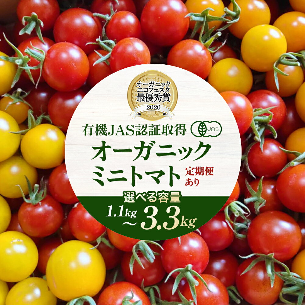 【ふるさと納税】【日本一の栄養価】濃厚！有機ミニトマトの宝石箱 [内容量・お届け回数が選べる！ 計1.1～3.3kg 1～3回]　ミニトマト 無潅水栽培 有機栽培 濃厚 フルーティー 宝石箱 JOFA栄養価コンテスト日本一 お中元 贈り物 記念日 お祝い　【07208-0025・0816～0819】