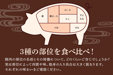 美ら島あぐー豚しゃぶしゃぶセット 食べ比べ ロース バラ 肩ロース 各250g 小分け 真空パック セット 沖縄県 おかず 惣菜 アグー豚 使用 冷凍 小分け おいしい 肉 糸満市 国産 肉汁 たっぷ