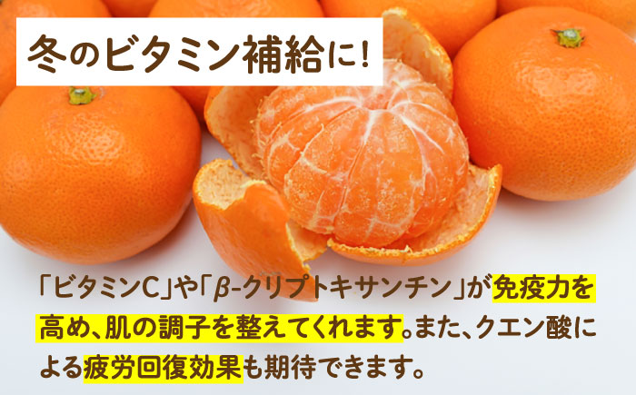 【2025年11月下旬〜発送】【高糖度】訳あり 温州みかん 約3kg（傷もの）/ みかん ミカン 蜜柑 果物 フルーツ / 南島原市 / 南島原果物屋 [SCV022]
