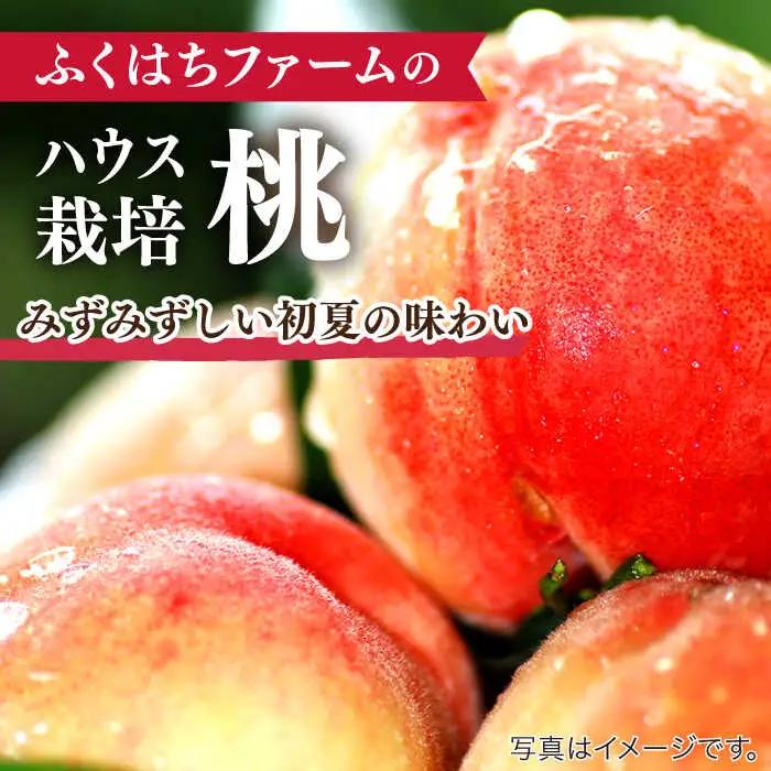 【2027年5月下旬-発送】桃 小玉 ハウス桃 約1.2kg [SBS007]