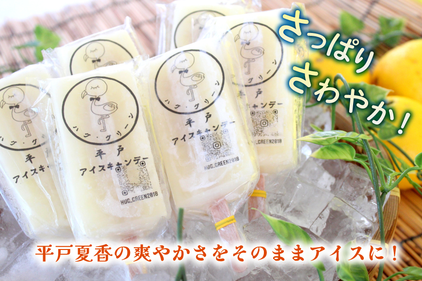 アイスキャンディー ギフト シャーベット オレンジ アイス 12回 定期便 平戸夏香のアイスキャンデー  総計120本  10本/回 [ハレルヤ合同会社 長崎県 平戸市 hr42bgy400143] 