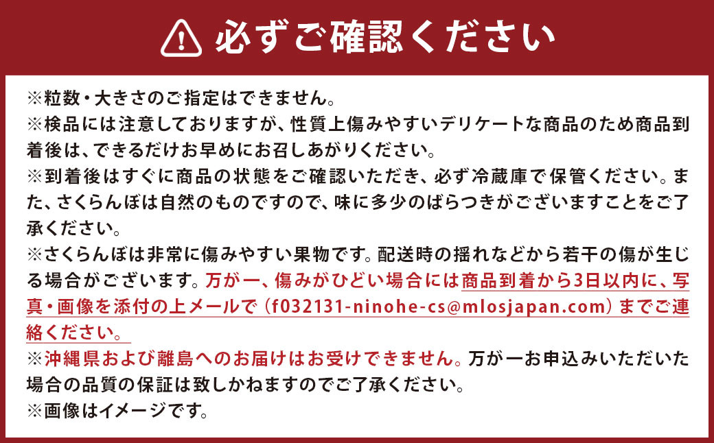 さくらんぼ 佐藤錦 一粒並べ  35粒
