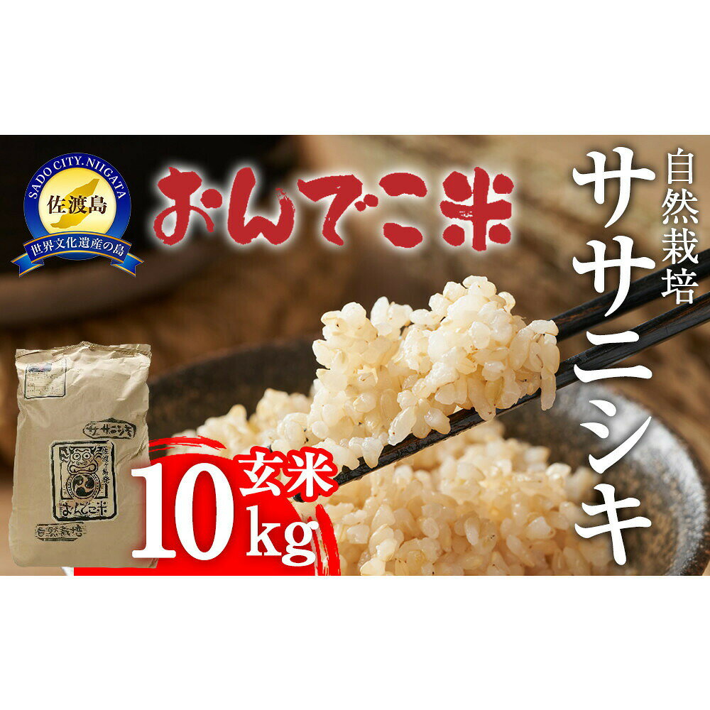 【ふるさと納税】【令和8年産】米 ササニシキ 玄米 10kg 自然栽培 栽培期間中農薬不使用 肥料不使用 だるま庵農園 ささにしき 玄米ごはん おにぎり お弁当 新潟県 佐渡市