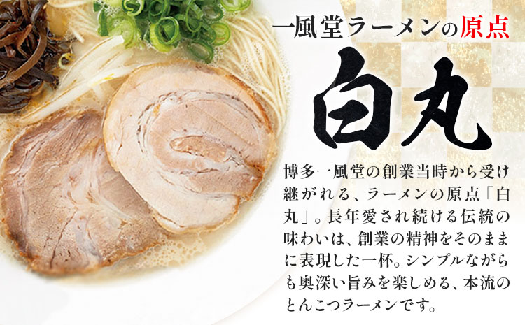 ラーメン 一風堂 白丸 ラー麦麺 セット 6食 地域商社ふるさぽ《90日以内に出荷予定(土日祝除く)》福岡県 鞍手町 ラーメン とんこつ 豚骨スープ 豚骨ラーメン ラー麦 麺---skr_fsipdr
