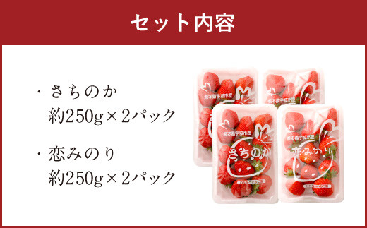 宇城市産いちご 「さちのか」「恋みのり」詰め合わせ 各約250g×2パック 計4パック 【わたなべいちご園】