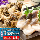 【ふるさと納税】 北海道オススメ貝セット つぶ貝 【500g／1kg】 × 生ホッキ貝お刺身 【2皿／4皿】 リピート率高い知る人ぞ知る 白糠煮つぶ (とれたてくん) ／ 下処理不要 すぐ食べられて 新鮮 生ホッキ貝 刺身 ホッキ貝 北寄貝 貝 贈答 ギフト にもオススメ 北海道 白糠町