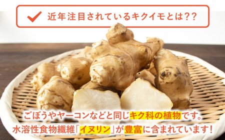 嬉野市産キクイモチップス・パウダー2点セット NAG009 菊芋きくいも