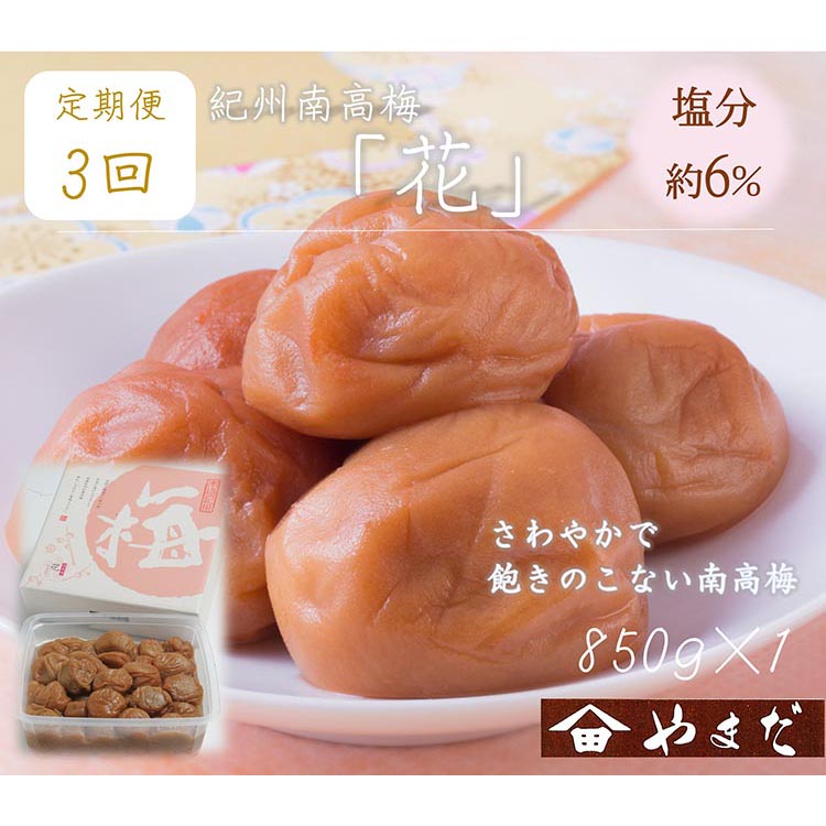 【定期便/3か月ごと/全3回】紀州南高梅「花」塩分約6％（850g）