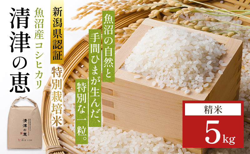 令和7年産魚沼産産特別栽培米コシヒカリ［清津の恵］精米5kg