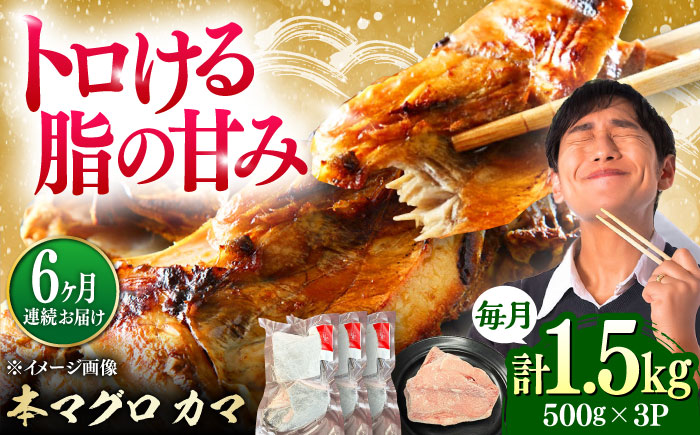 【全6回定期便】対馬産 本マグロ カマ 1.5kg ≪対馬市≫【桐谷商店】 トロの華 対馬 新鮮 マグロ かま 鮪 [WAQ101]