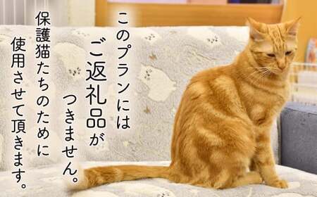 【返礼品なし】 保護 猫 支援寄附 ねこカフェ