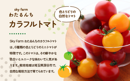 カラフルトマトジュース　2本セット　【11218-0903】