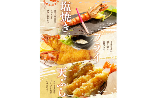 紀州和歌山産天然足赤えび540g×2箱（270g×4パック）化粧箱入 ※2026年12月上旬〜2027年2月上旬頃順次発送予定（お届け日指定不可）（お届け日指定不可）／海老 エビ えび クマエビ 足赤