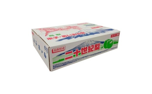 鳥取県産 二十世紀梨 5kg 3～4L 12～14玉【赤秀】（大山ブランド会）