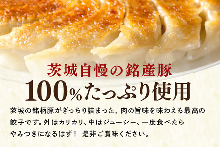 彩美亭 かさま餃子 常陸の輝き100個 HV-006