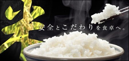 【3-197】コシヒカリ 特別栽培米 10kg 【 新米予約　9月以降発送 】