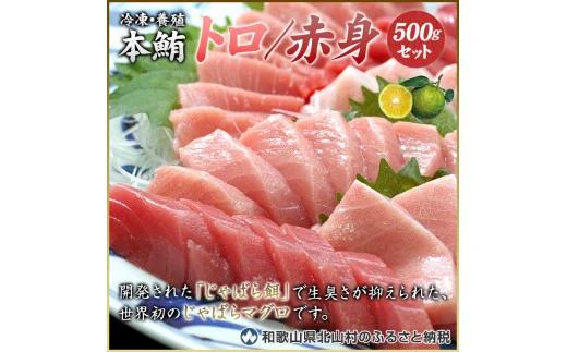 【串本町×北山村】本マグロ（養殖）トロ＆赤身セット500g 【通常発送】 まぐろ マグロ 鮪 中トロ 赤身 柵【nks110】