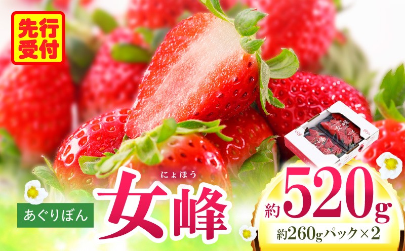 
                  あぐりぼん　いちご「女峰」　約260gパック×2個（約520g）|いちご 果物 フルーツ デザート ストロベリー 果肉 スイーツ 甘い 国産 贈り物 贈答 プレゼント グルメ 人気 おすすめ 季節 旬 旬の果物 香川県 三木町 送料無料|_mk144-008
                