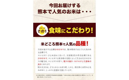 令和5年産 【3ヶ月定期便】 ひのひかり 10kg (5kg×2袋) 計3回お届け 無洗米 熊本県産 単一原料米 ひの 熊本県 山江村《お申し込み月の翌月から出荷開始》