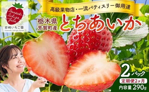 【2ヶ月定期便】栃木県芳賀町産いちご とちあいか290g(7～12粒)×2トレイ | 果物 フルーツ いちご 苺 イチゴ とちあいか ブランド 期間限定 季節限定 旬 国産 ※2026年1月上旬～4月下旬頃に順次発送予定