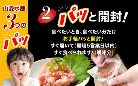 【ネギトロ】ミニパッとろ丼240g(約40g×12袋) ねぎとろ 【いわき市】