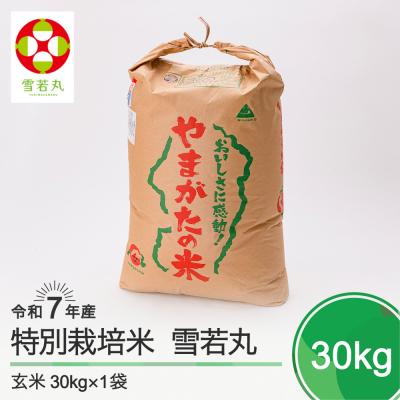 ふるさと納税 大石田町 新米 米 雪若丸 30kg 令和7年産 【2026年1月上旬発送】山形県産 特別栽培米 玄米