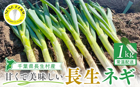 AD01-001 長生ねぎ（1kg）