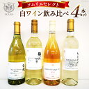 【ふるさと納税】ワイン 飲み比べ ソムリエセレクト 白ワイン 4本セット [本坊酒造 マルス穂坂ワイナリー 山梨県 韮崎市 20742610] ワインセット 白 シャトーマルス 辛口 お酒