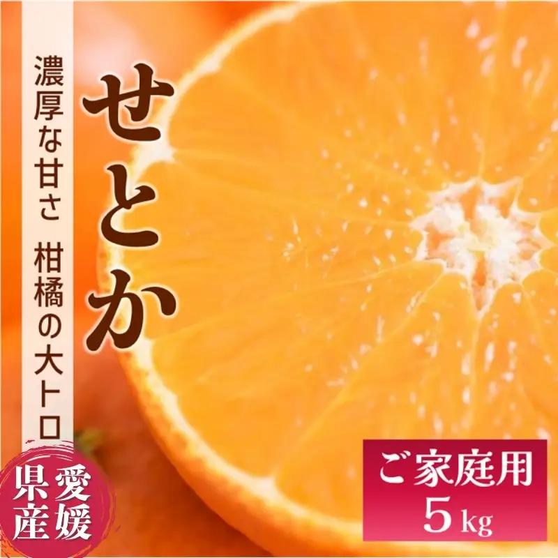 【2027年2月上旬より順次発送】せとか バラ詰め 約5kg｜C55