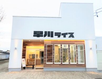 【令和5年産米】早川ライスの山形県産「つや姫」精米5kg×1袋_A162(R5)
