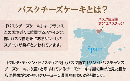 ショコラのバスクチーズケーキ B110-014